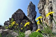 In VETTA CORNAGERA con S. Messa per i Caduti della montagna il 2 giugno 2018  -  FOTOGALLERY